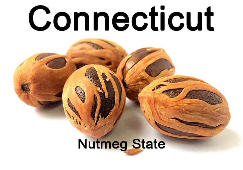 connecticut: nutmeg state
