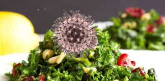 mRNA Vaccines in plants
