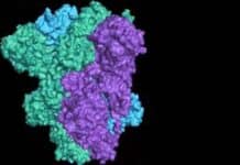 Cancer-linked SV40 Virus in Pfizer COVID Shots SV40-COVID-shots