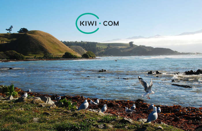 kiwi.com travel