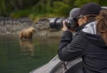 7 wrangell alaska tours that fit a cruise stop without feeling rushed Wrangell