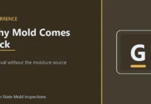 Mold Recurrence and Its Moisture Sources