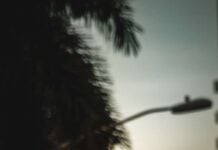 Forget Rush Hour: Florida’s Deadliest Time to Drive Is Saturday Night, New Study Finds florida