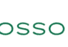 BlossomUp Scam Searches: Understanding What the Tools Offer